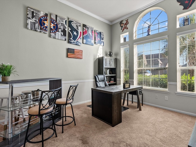 office space with carpet flooring and crown molding