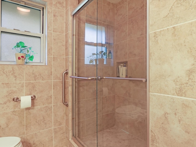 bathroom with toilet, a healthy amount of sunlight, and a shower with shower door