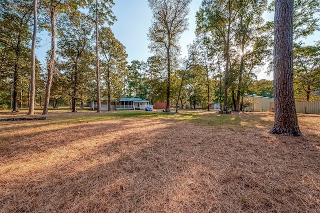 view of yard