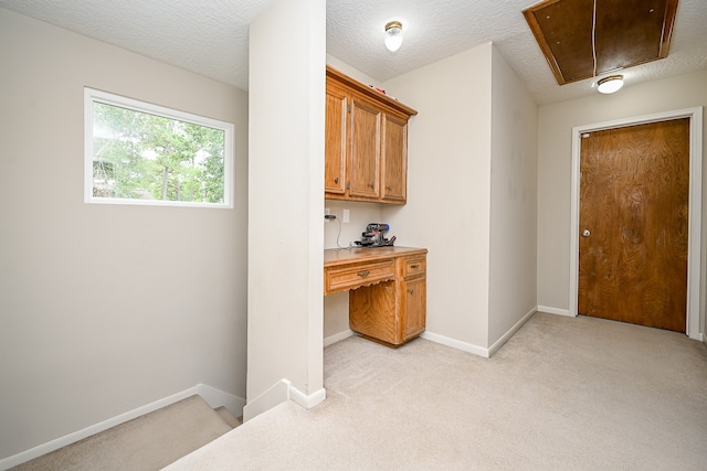 interior space featuring a textured ceiling and light colored carpet