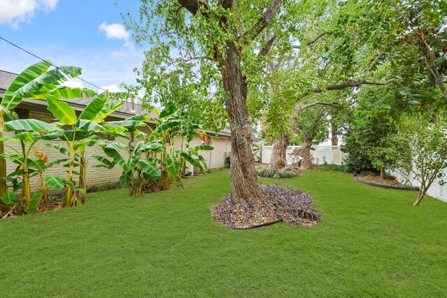 1601 5th St, Palacios, TX 77465 - photo 33