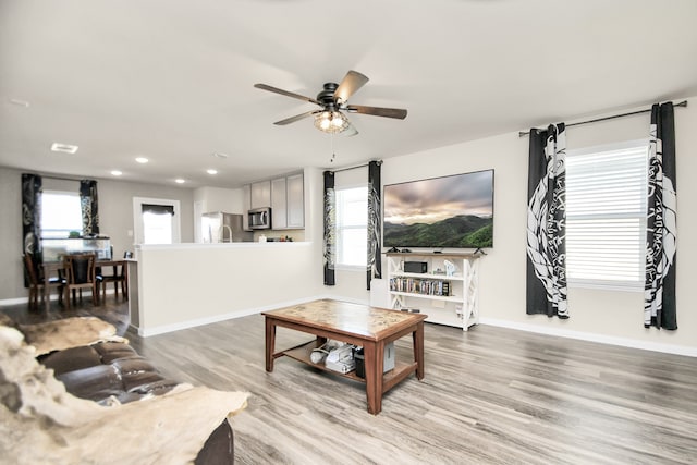 living room with ceiling fan and hardwood / wood-style flooring