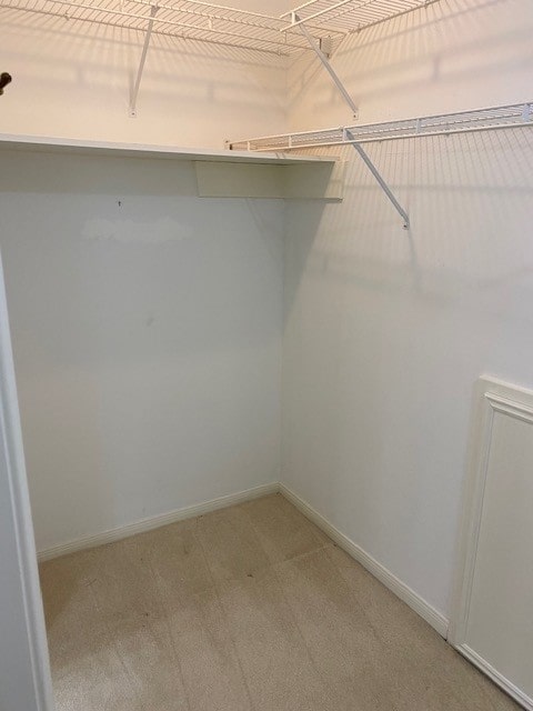 walk in closet featuring carpet flooring