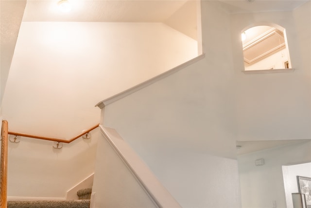 stairs with carpet floors