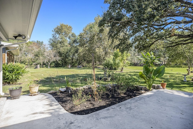 view of yard with a patio area