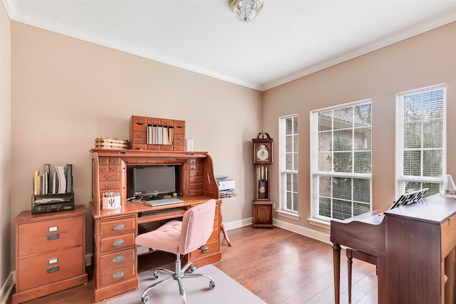 office with ornamental molding and light hardwood / wood-style flooring