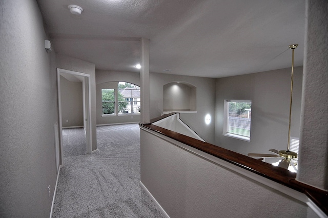 hallway featuring carpet