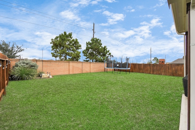 view of yard featuring a trampoline