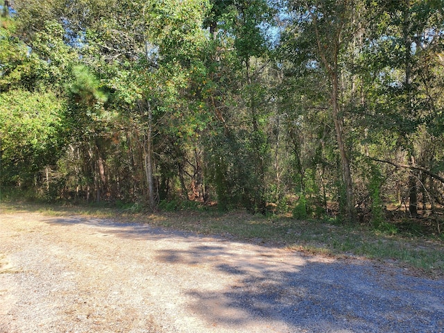 TBD Roman Forest Blvd, New Caney TX, 77357 land for sale