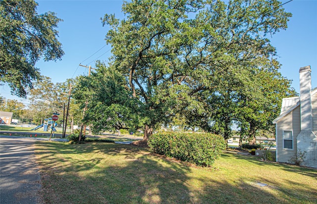 view of yard with a playground