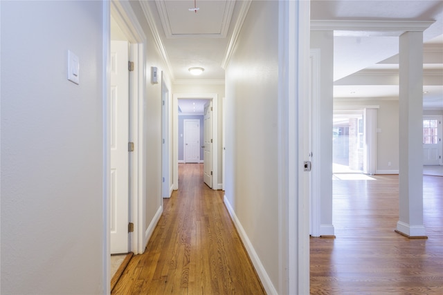 corridor featuring ornamental molding and wood-type flooring