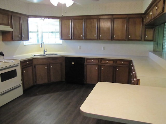 kitchen featuring black dishwasher, electric range, dark hardwood / wood-style floors, dark brown cabinetry, and sink