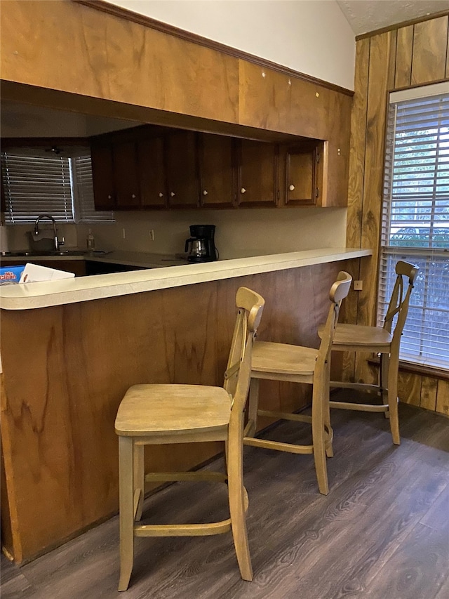 bar with lofted ceiling, dark wood-type flooring, and sink