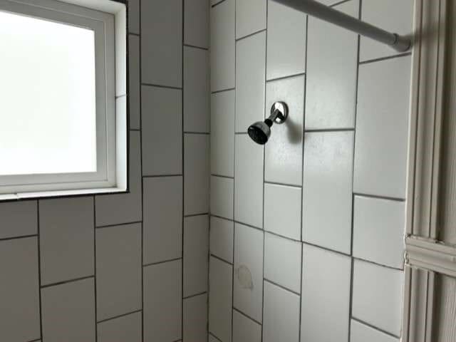 room details with tiled shower