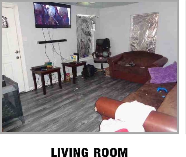 living room with wood-type flooring