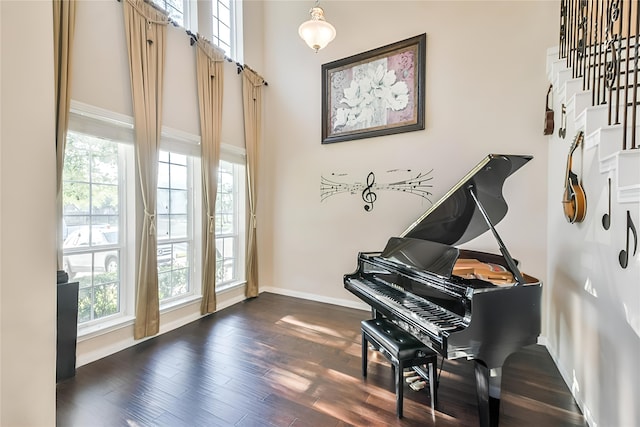 miscellaneous room featuring dark hardwood / wood-style flooring