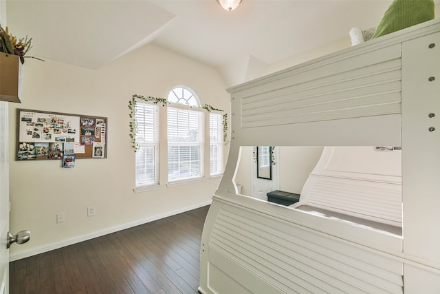 interior space with lofted ceiling, dark wood-type flooring, and plenty of natural light