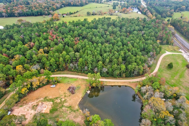 0 Belinowski Rd, New Waverly, TX 77358