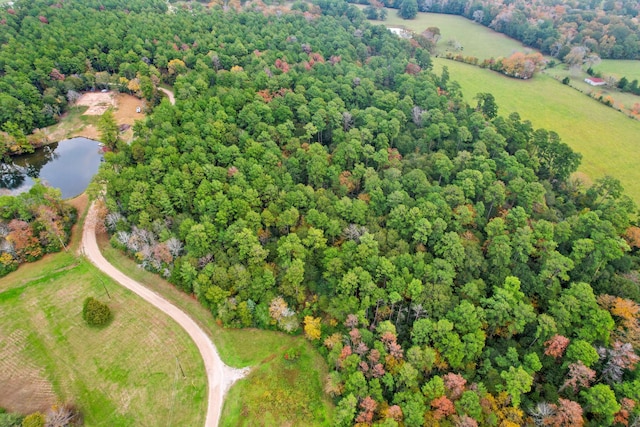 0 Belinowski Rd, New Waverly, TX 77358