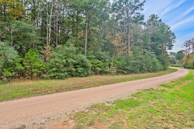0 Belinowski Rd, New Waverly, TX 77358