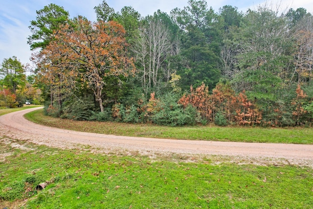 0 Belinowski Rd, New Waverly, TX 77358