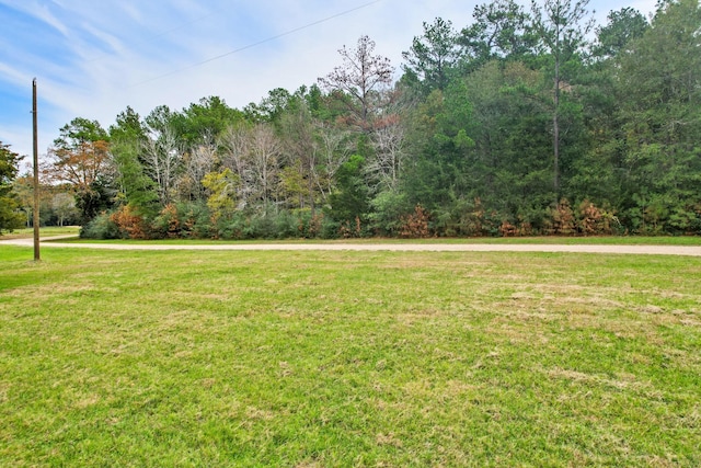 0 Belinowski Rd, New Waverly, TX 77358