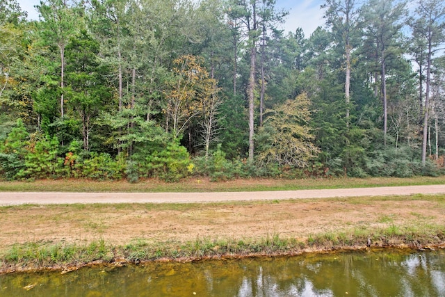 0 Belinowski Rd, New Waverly, TX 77358