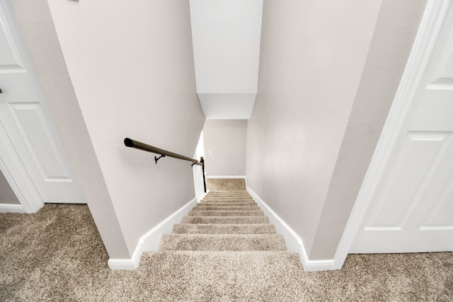 stairs featuring carpet