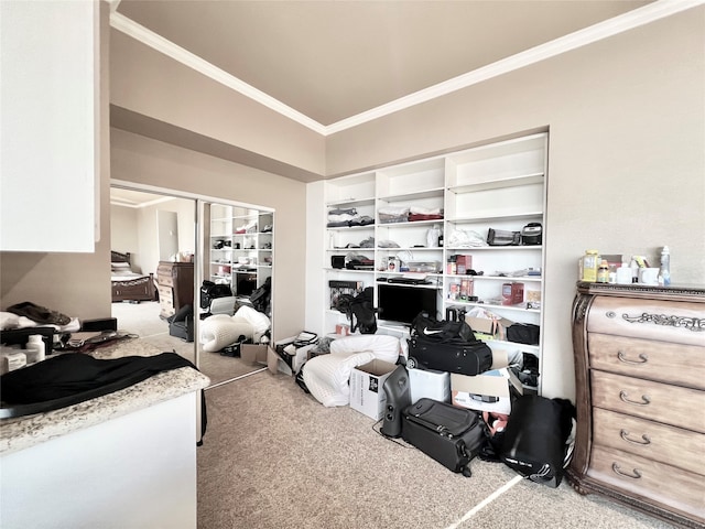 carpeted bedroom featuring a closet and crown molding