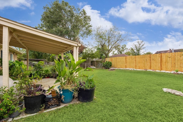 view of yard featuring a patio