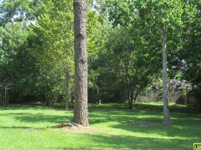 Listing photo 2 for 442 Baywood St, Shenandoah TX 77571