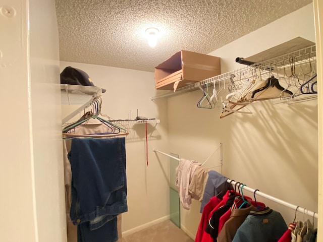 view of walk in closet