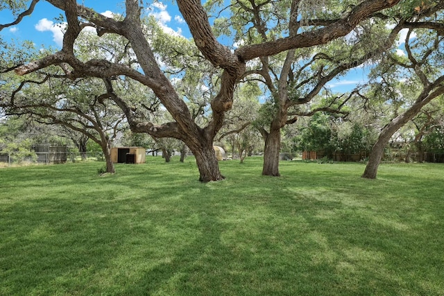 view of yard featuring a storage unit