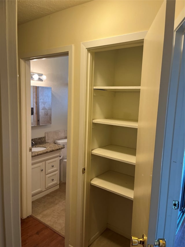 closet featuring sink