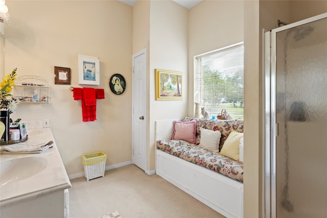 bathroom with a shower with door and vanity