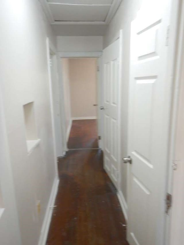 hallway featuring dark hardwood / wood-style flooring