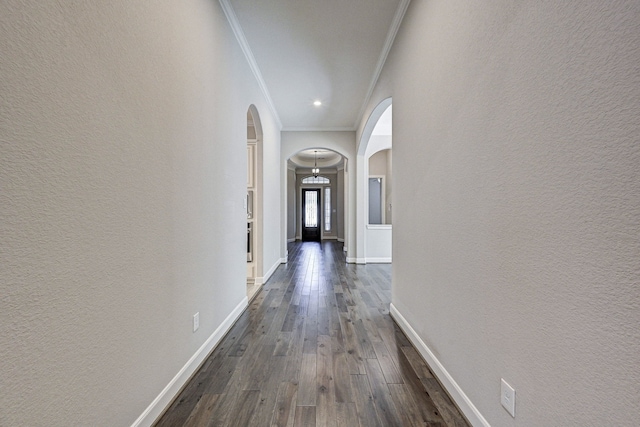 hall with dark hardwood / wood-style floors and ornamental molding