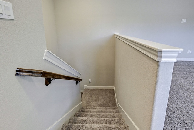 stairs featuring carpet floors