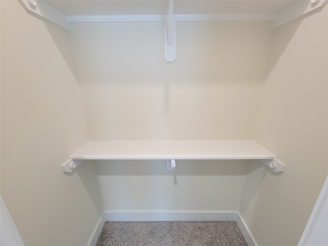 spacious closet featuring carpet flooring