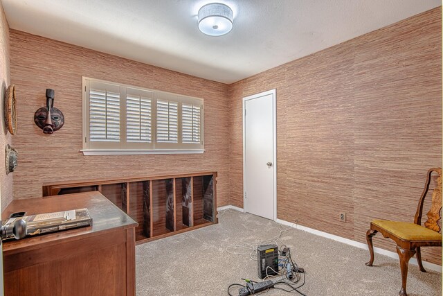 interior space featuring carpet floors