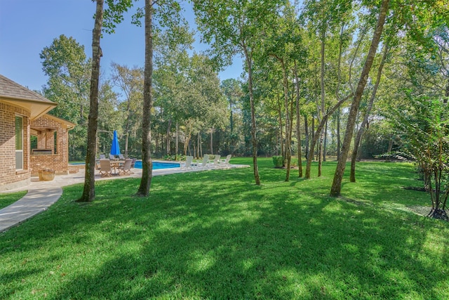 view of yard with a patio