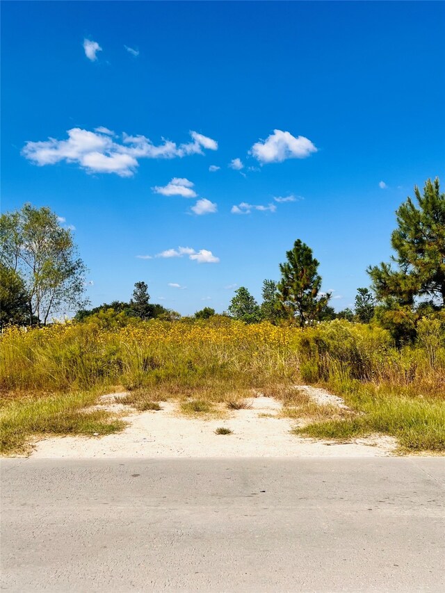 1383 County Road 3540, Cleveland TX, 77327 land for sale