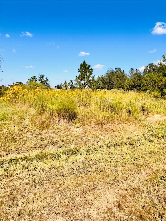 1383 County Road 3540, Cleveland, TX 77327 - photo 2