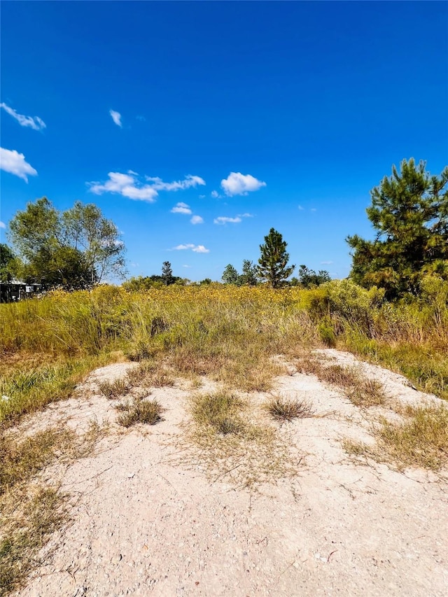 1383 County Road 3540, Cleveland, TX 77327 - photo 3