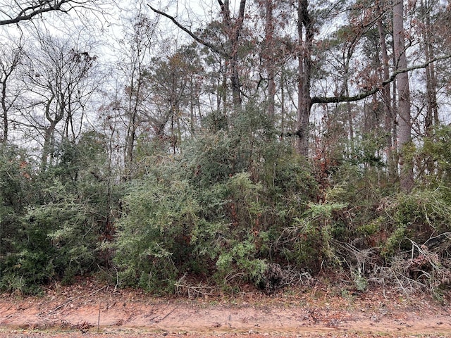 0 Laurel, Onalaska TX, 77360 land for sale