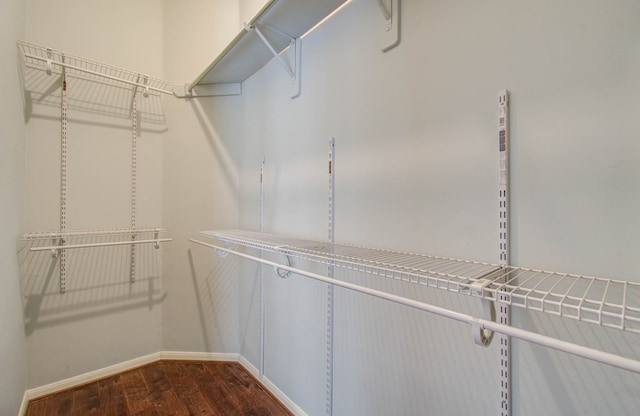 walk in closet with wood-type flooring