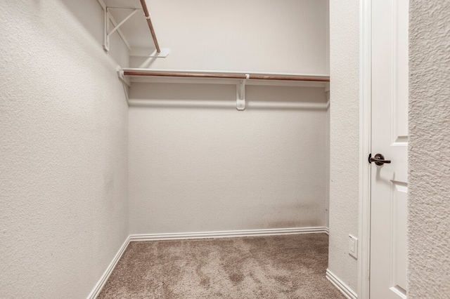 walk in closet featuring carpet