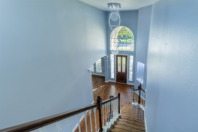 foyer with a notable chandelier, dark hardwood / wood-style floors, and a high ceiling