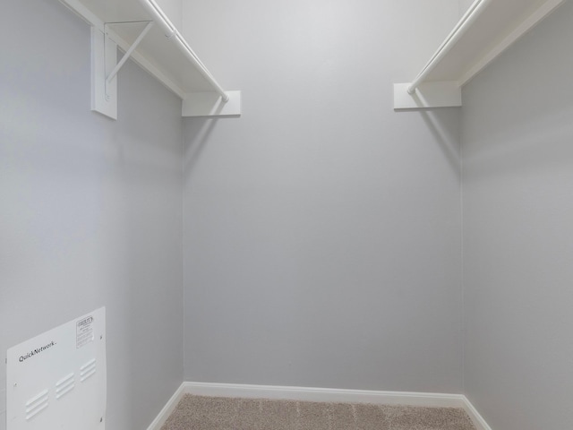 spacious closet featuring carpet floors