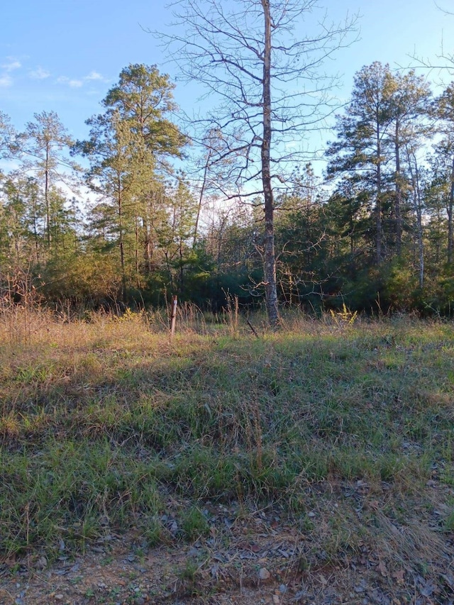 485 Sir Henry, Woodville TX, 75979 land for sale